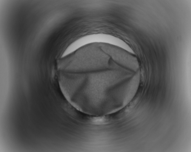 X0000096410574200802211228