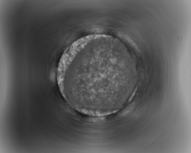 X0000096410576200802211228