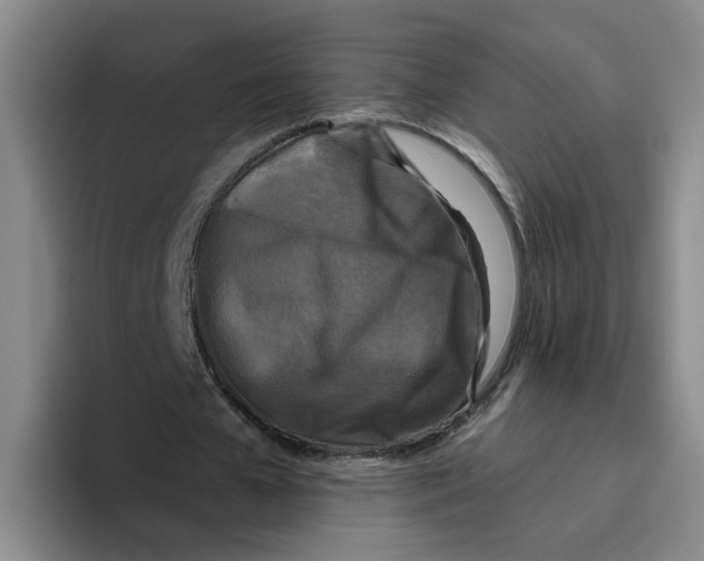 X0000096410577200802211227