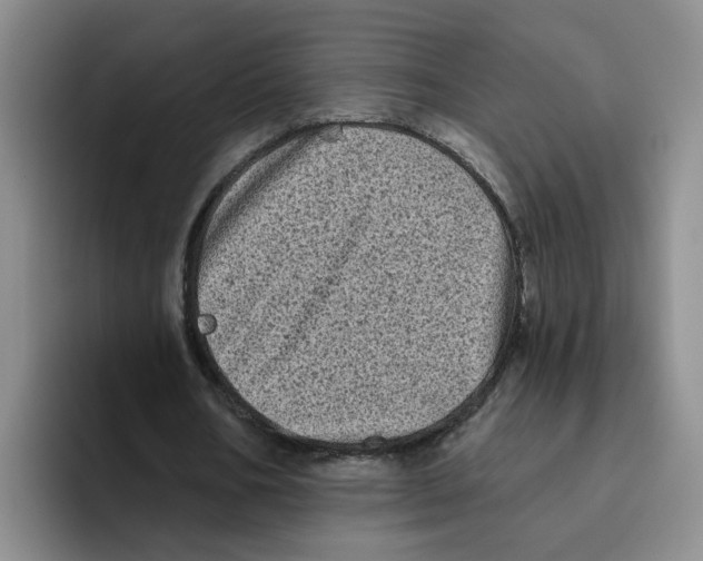X0000096410578200802211227