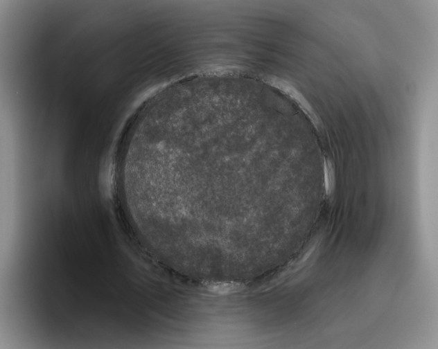 X0000096410579200802211227