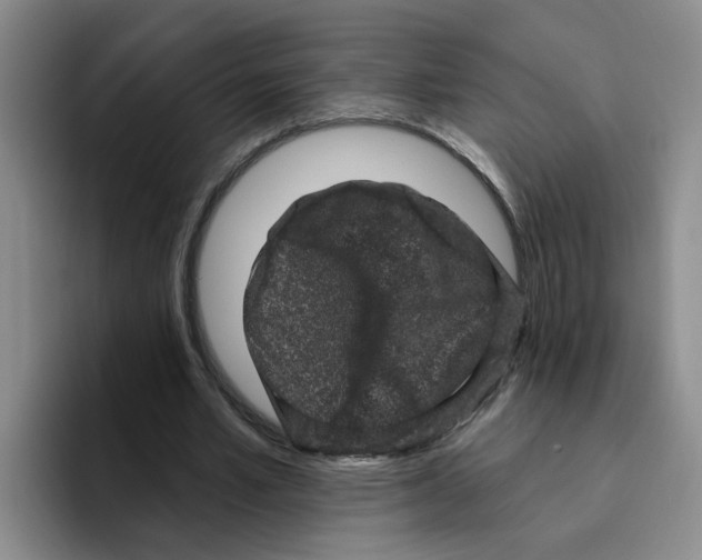 X0000096410581200802211227