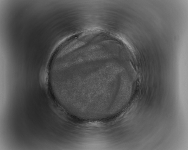 X0000096410583200802211227
