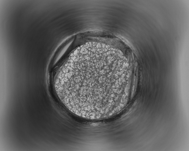 X0000096410584200802211227