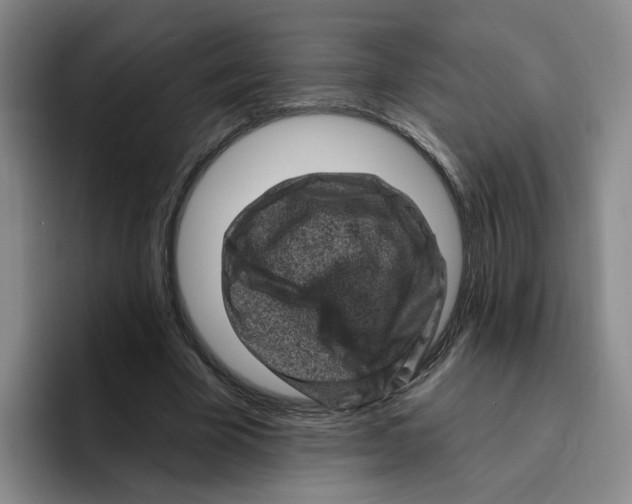 X0000096410585200802211227