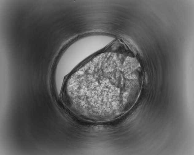 X0000096410588200802211227