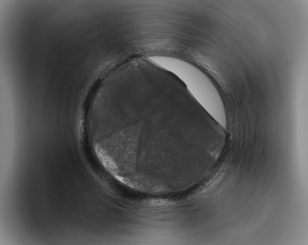 X0000096410590200802211227