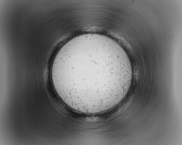 X0000096410591200802211227
