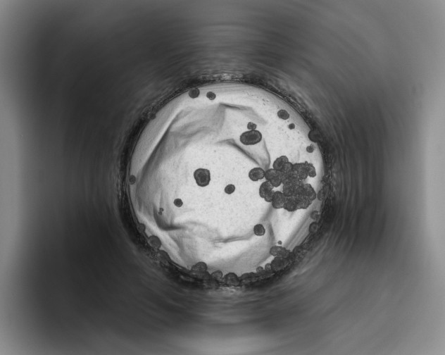 X0000096410594200802211227