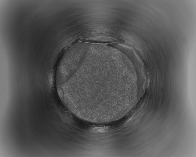 X0000096410595200802211227
