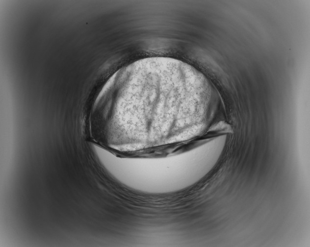 X0000096410596200802211227