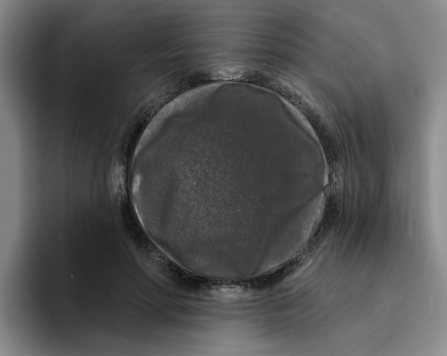 X0000096410598200802211227