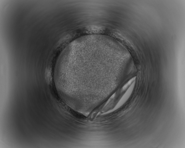 X0000096410599200802211227