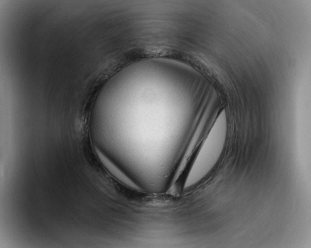 X0000096410601200802211227