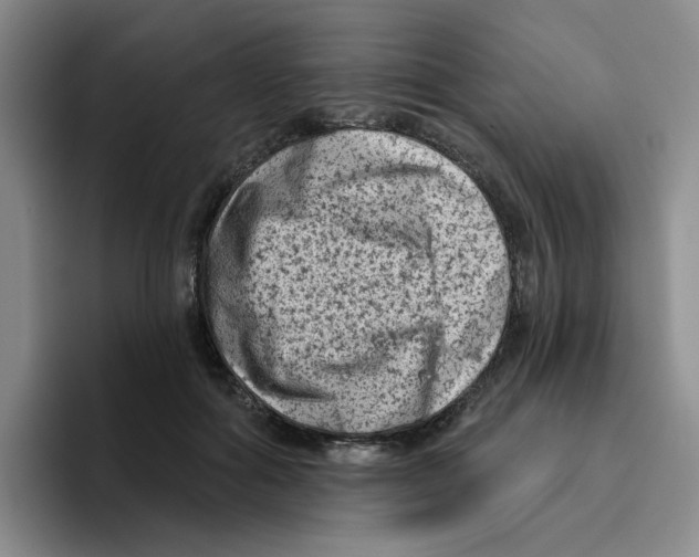 X0000096410602200802211227