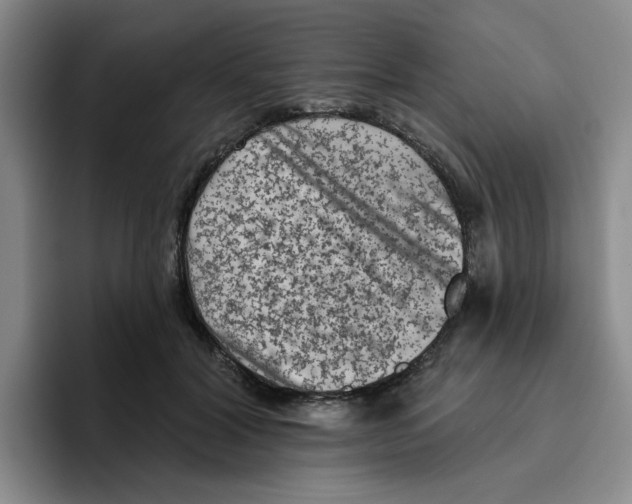 X0000096410604200802211227