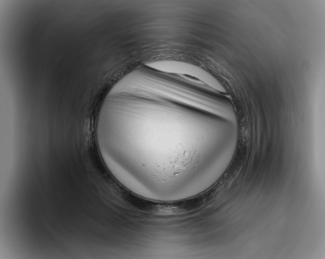 X0000096410605200802211227