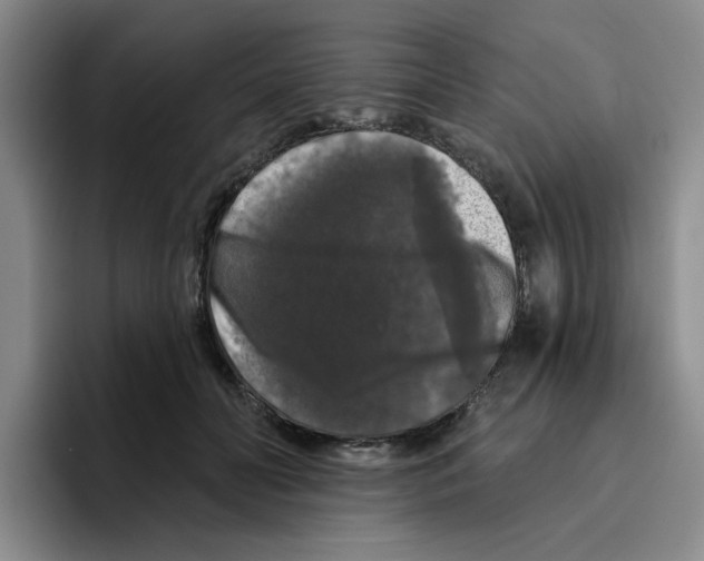 X0000096410606200802211227