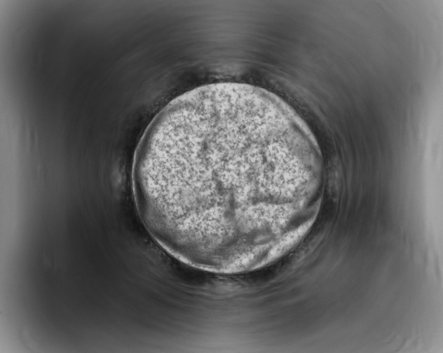 X0000096410608200802211227
