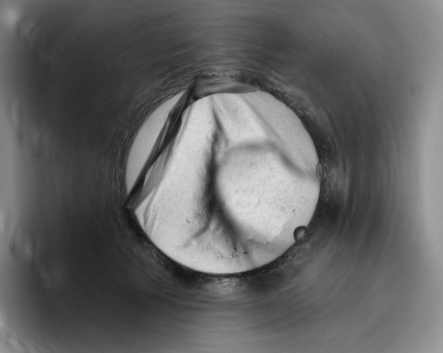 X0000096410609200802211227