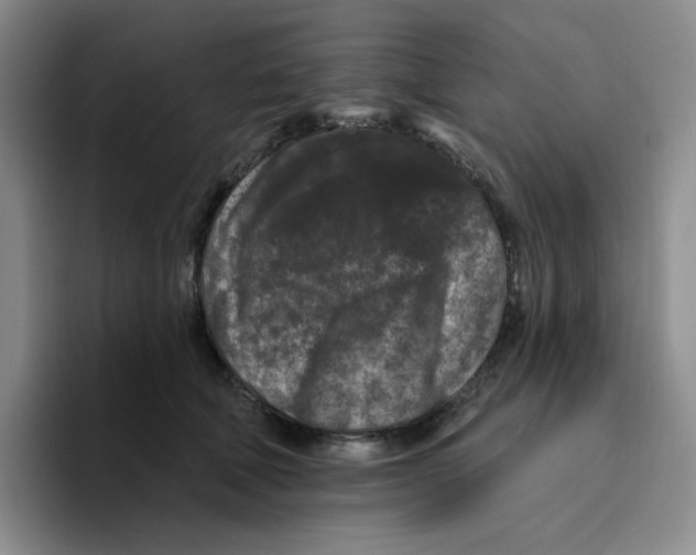 X0000096410610200802211227