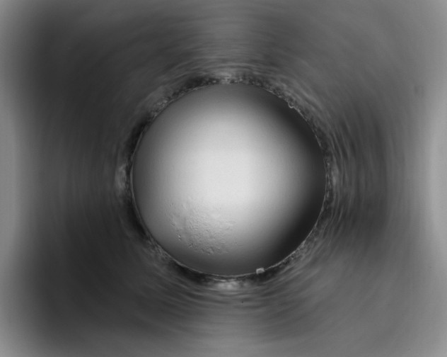 X0000096410611200802211227