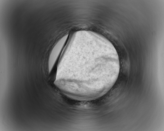 X0000096410612200802211227