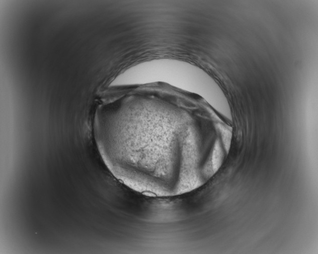 X0000096410613200802211227