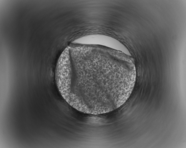X0000096410614200802211227