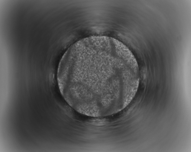 X0000096410615200802211227
