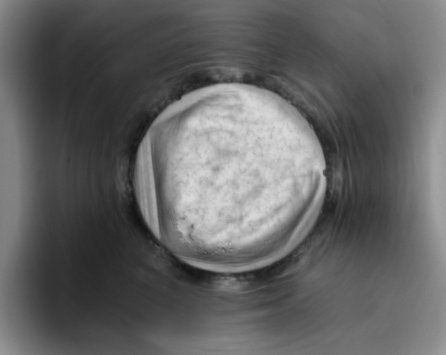 X0000096410616200802211227