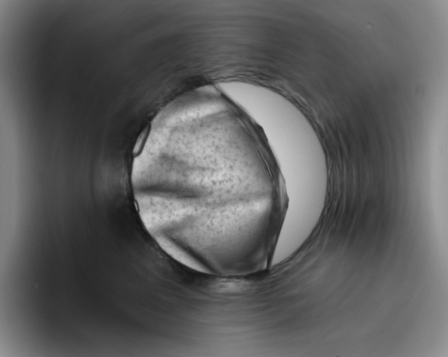 X0000096410617200802211227