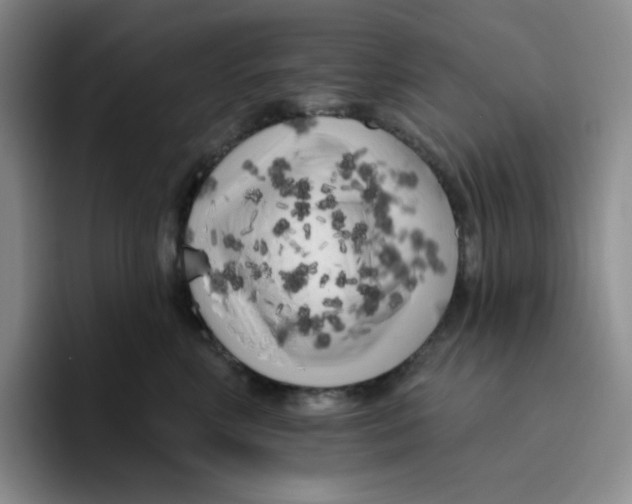 X0000096410618200802211227