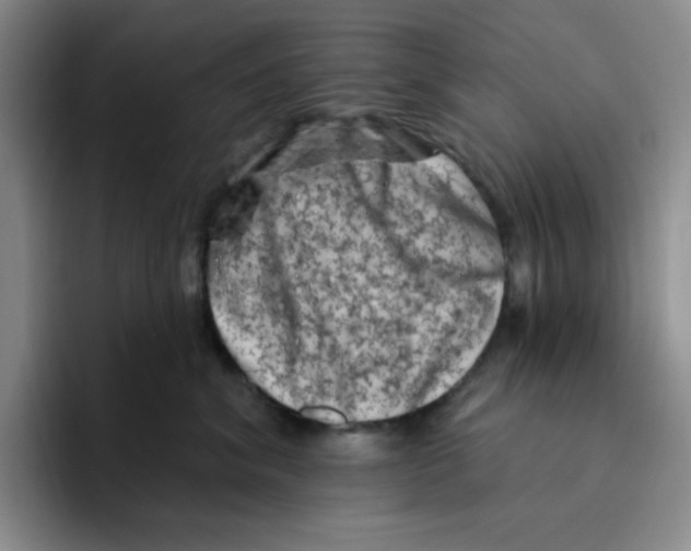 X0000096410620200802211227