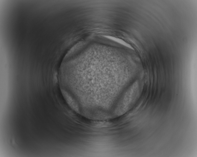 X0000096410621200802211227