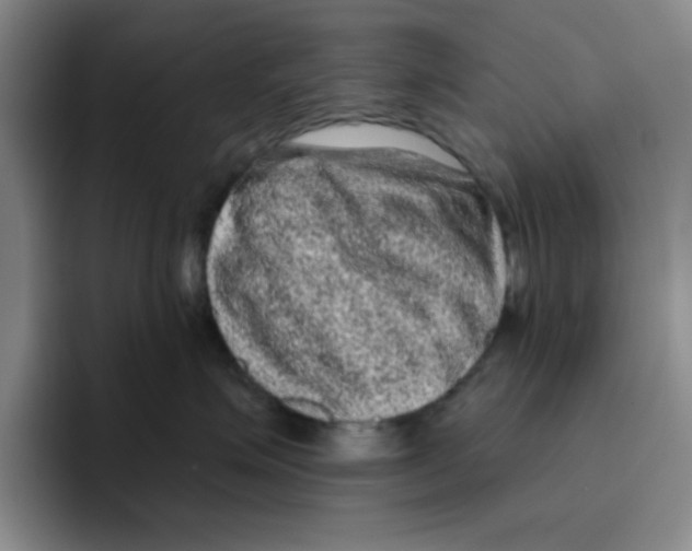 X0000096410623200802211227