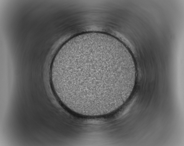 X0000096410625200802211226
