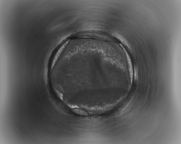 X0000096410627200802211226