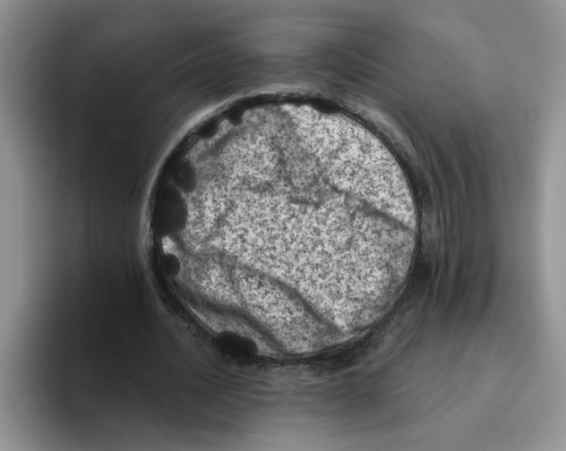 X0000096410628200802211226