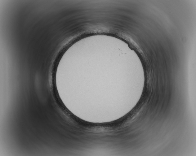 X0000096410629200802211226