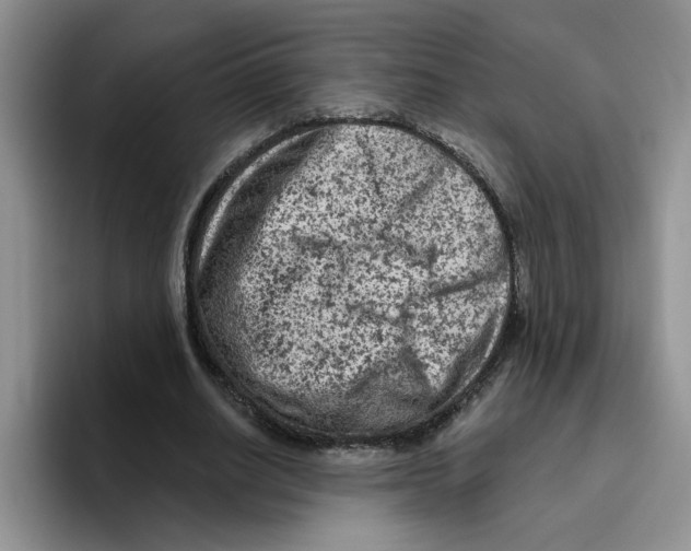 X0000096410630200802211226