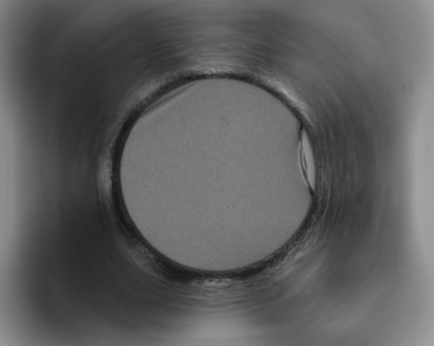 X0000096410631200802211226