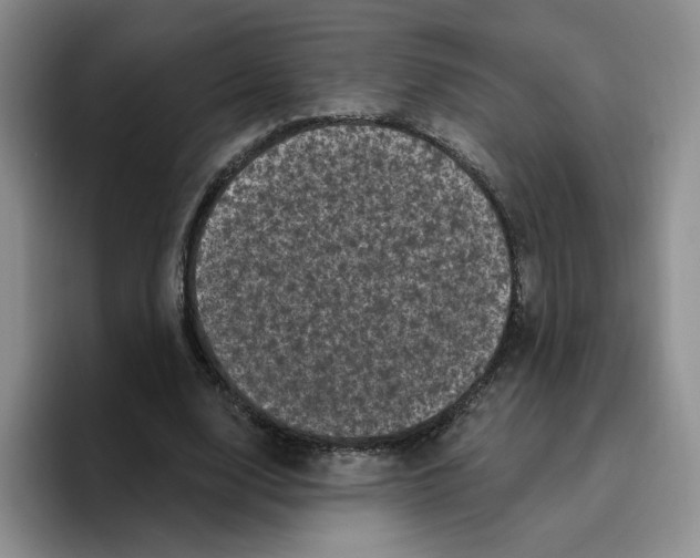 X0000096410632200802211226