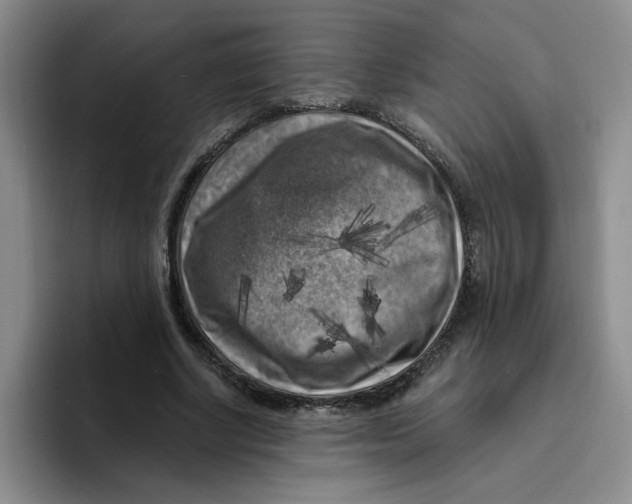 X0000096410634200802211226