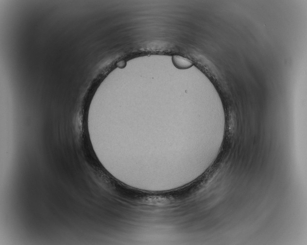 X0000096410636200802211226