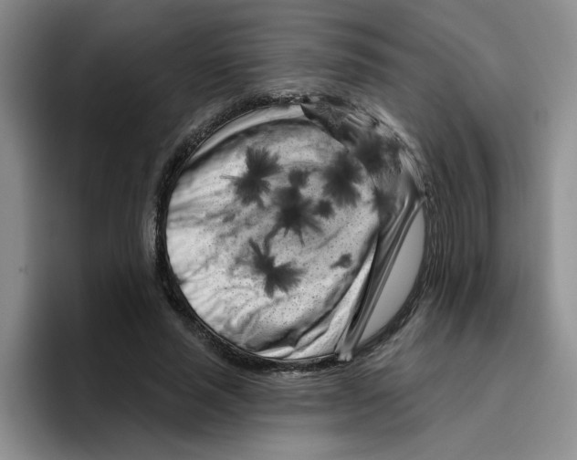 X0000096410637200802211226
