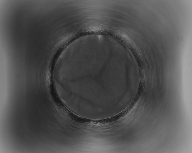 X0000096410640200802211226