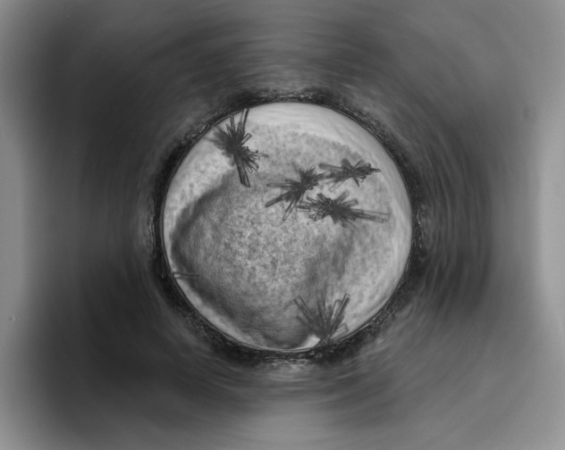 X0000096410642200802211226
