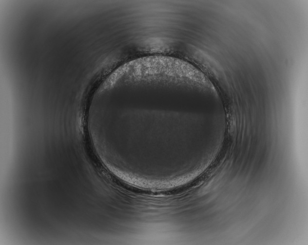 X0000096410643200802211226