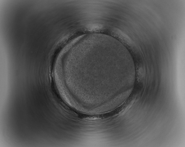 X0000096410644200802211226